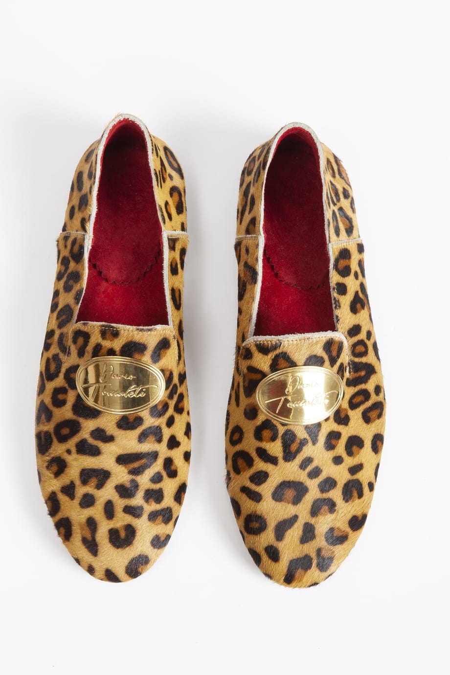 Brown Cheetah - Image 4