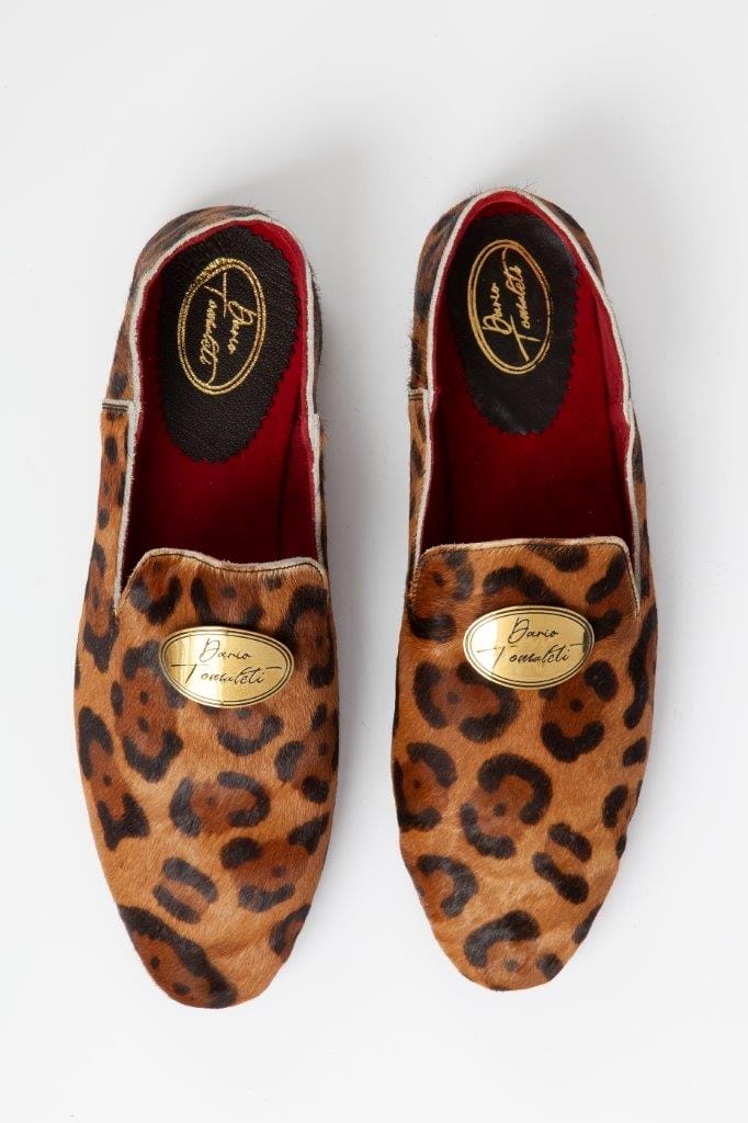 Brown Leopard - Image 6