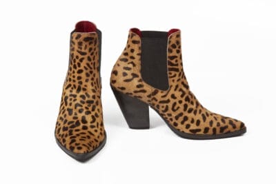 Brown Gepard