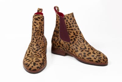 Brown Gepard