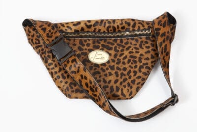 Brown Gepard