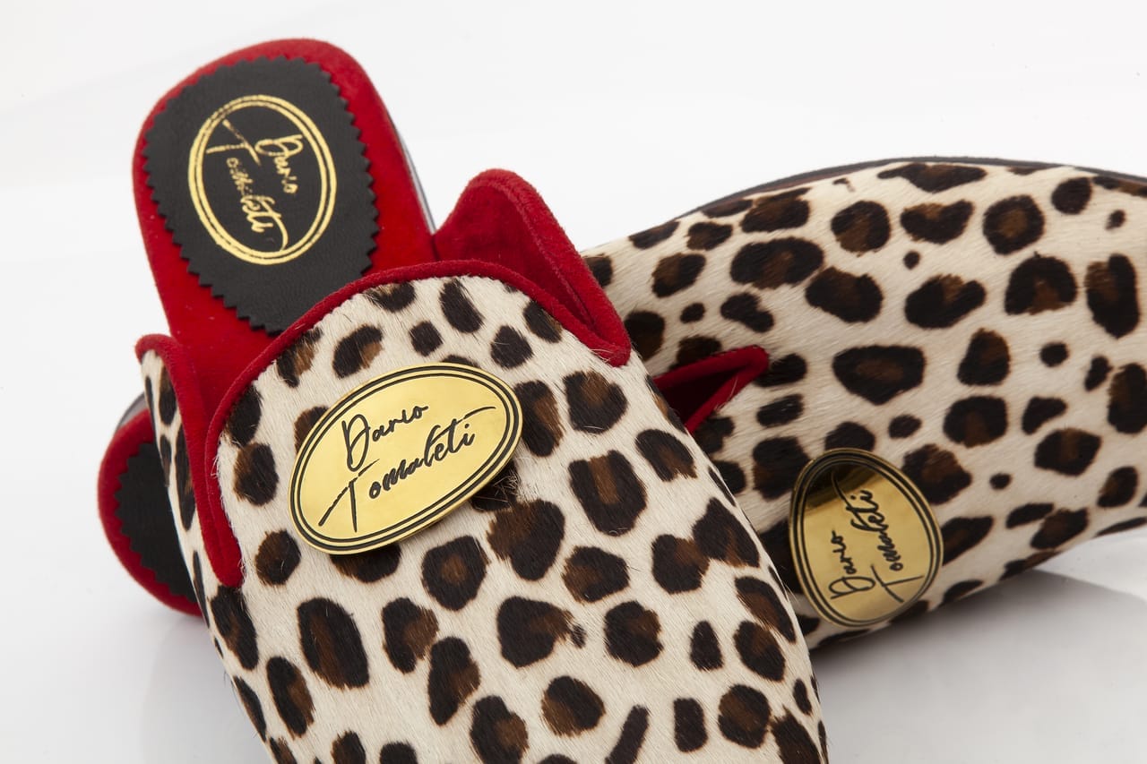 Albino Gepard - Image 4