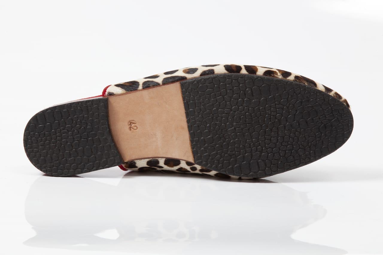 Albino Gepard - Image 7