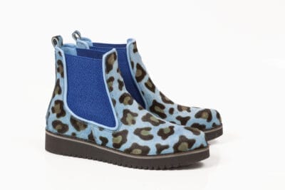Blue Jaguar Winter