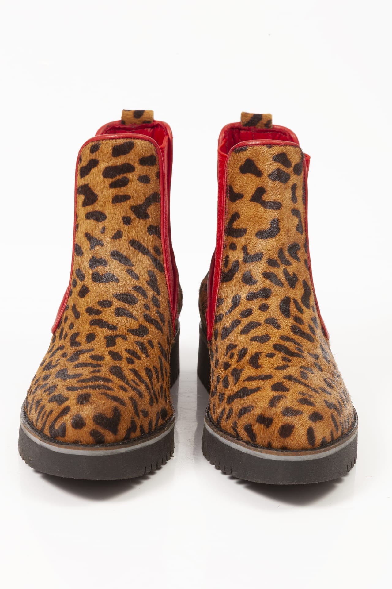 Brown Gepard Winter - Image 2