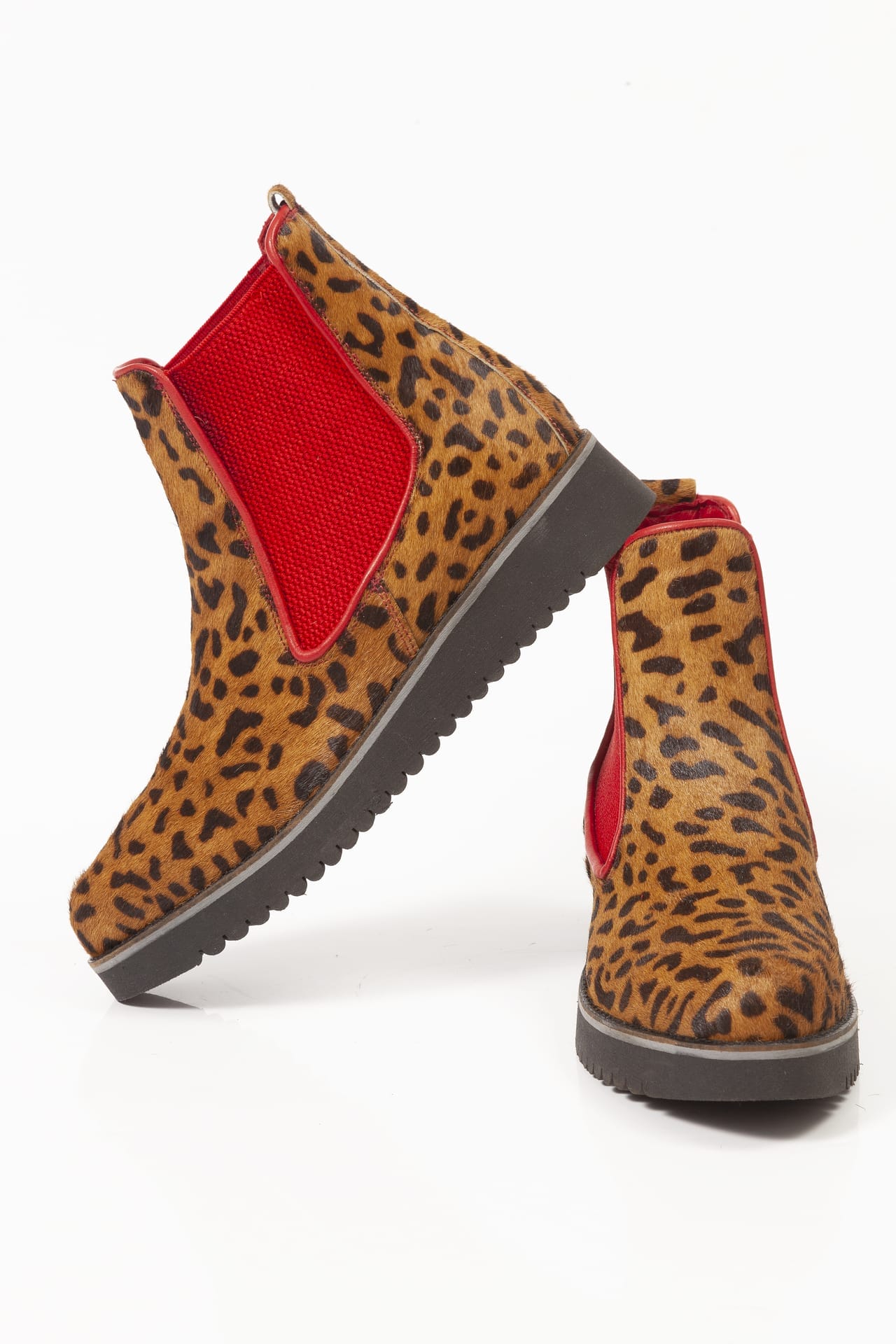 Brown Gepard Winter - Image 4